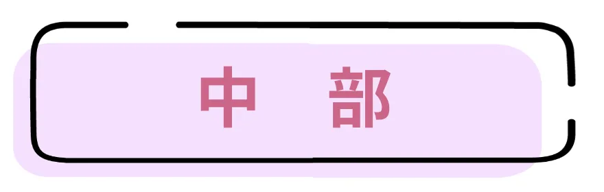 中部のサロンのリンクボタンです。